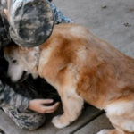 Returning soldier surprise his dog