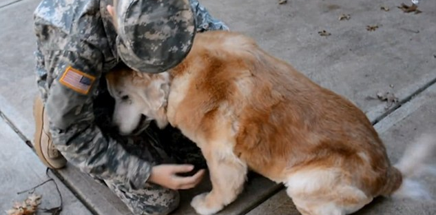 Returning soldier surprise his dog