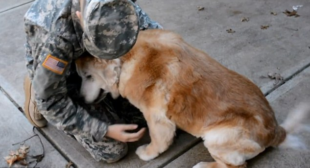 Returning soldier surprise his dog