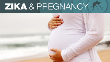 zika virus pregnancy